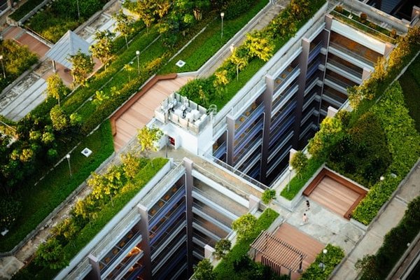 Come realizzare un giardino sul tetto in città rispettando le normative edilizie?