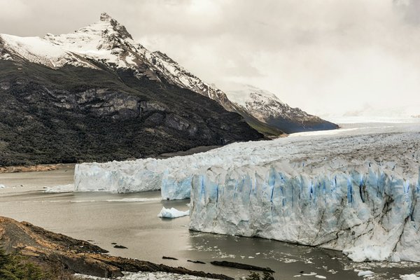 Come organizzare un'escursione ecologica per osservare la nidificazione delle tartarughe marine?